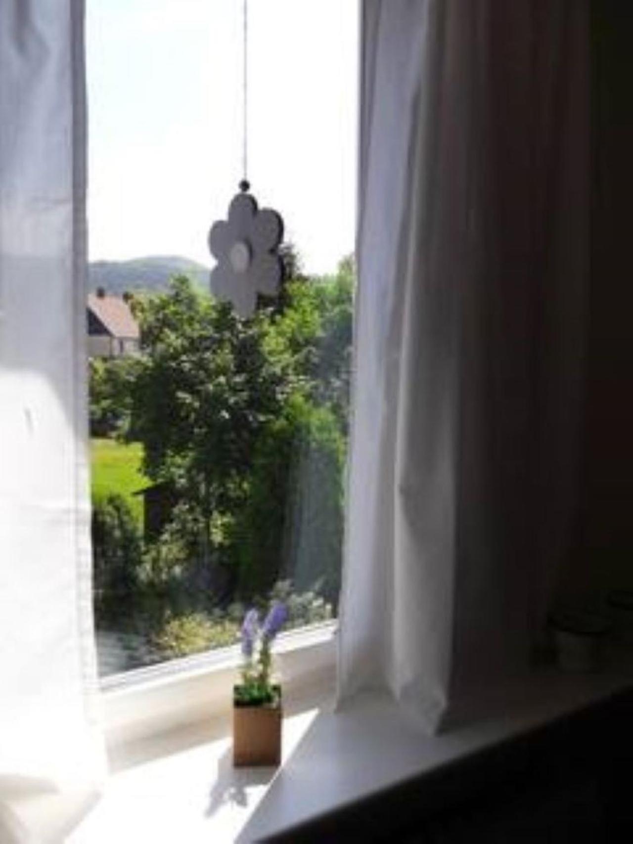 Apartment Pusteblume In Wolfshagen Im Harz