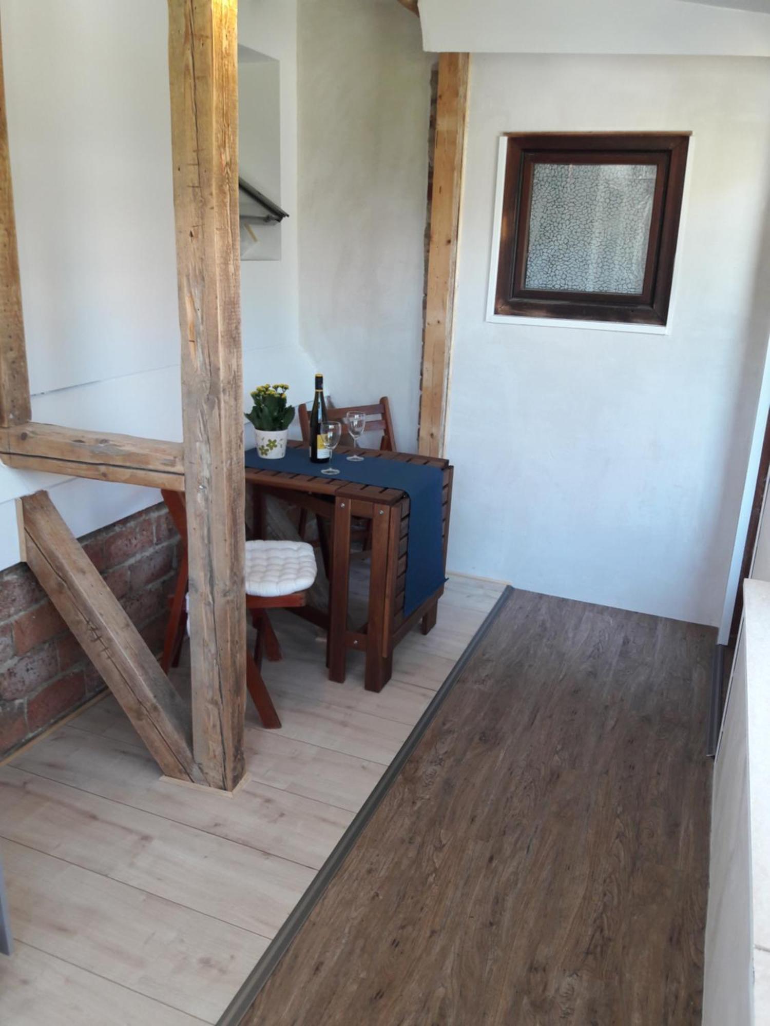Pusteblume In Wolfshagen Im Harz Apartment